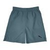 Shorts PM Gris 525696A 02