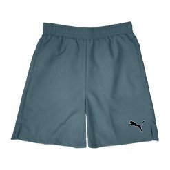 Shorts PM Gris 525696A 02
