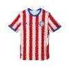 Camiseta Paraguay Oficial Mundial 2026 Hombre 697015 01